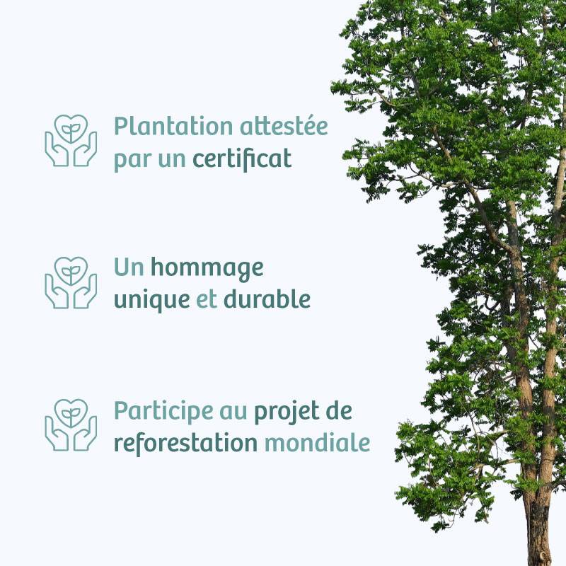 Planter un arbre en hommage à M. Henri Verdier